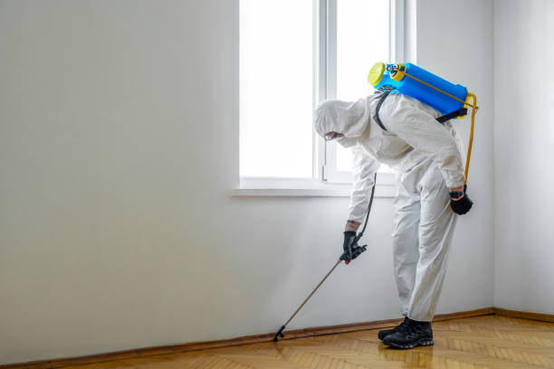 Best Termite Control Services  in Beaverton, MI